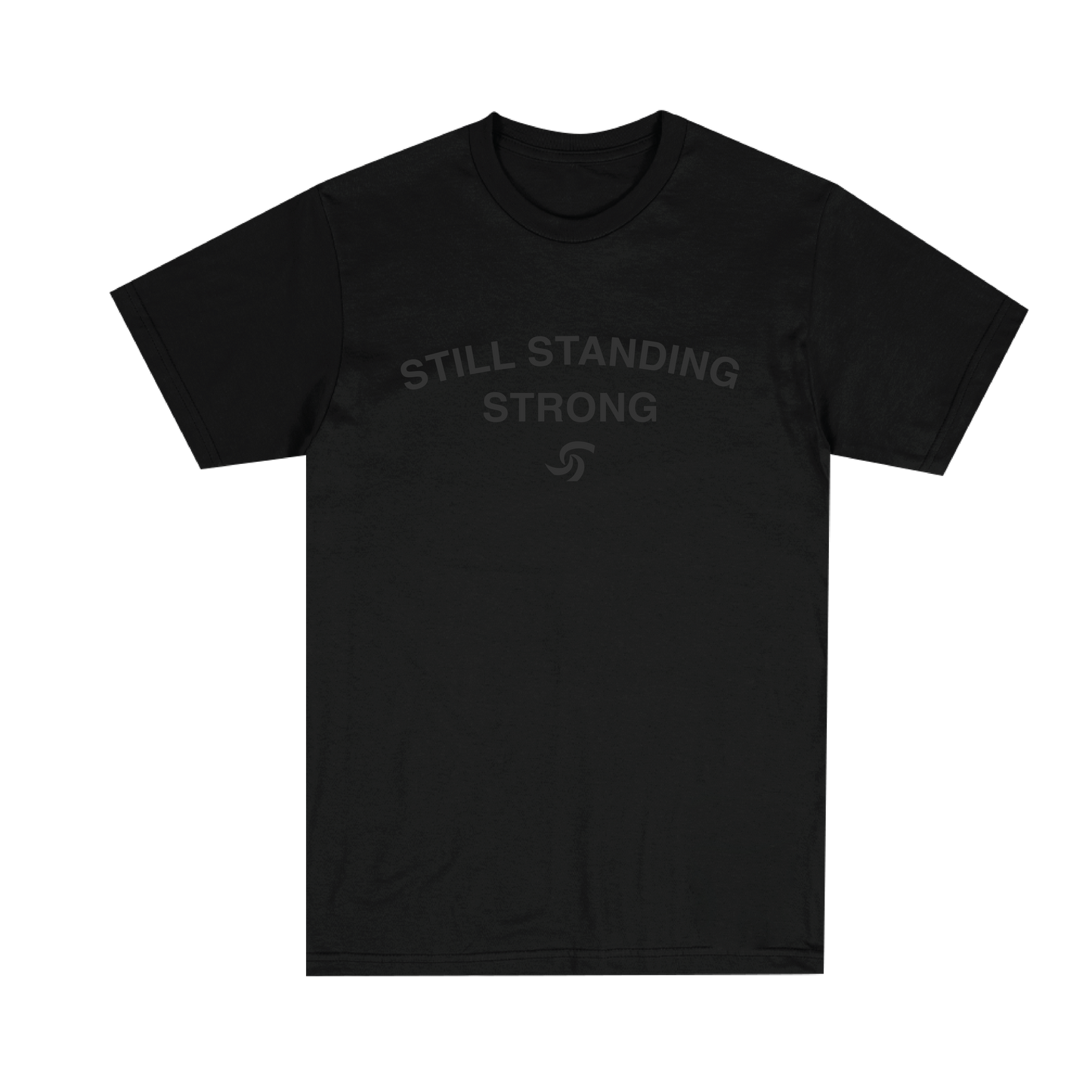 BLACK T-SHIRT W/ GREY LOGO TYPE